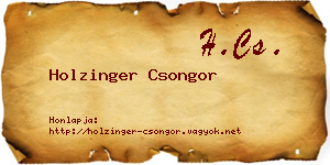 Holzinger Csongor névjegykártya