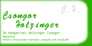 csongor holzinger business card